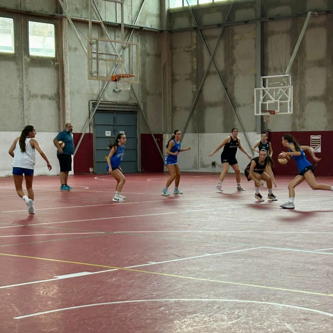 📌(EUS) Klubeko jardueraz haratago, gure 15-20 bat jokalari Gipuzkoako fedederazioarekin lanean daude.
📌(CAS) Más allá de la actividad en el club, unos 15-20 jugadorxs "nuestrxs" están trabajando con la <a href="/fgbaloncesto/">GSF</a>
▶️ instagram.com/share/p/BBX0l8…

📸 <a href="/fgbaloncesto/">GSF</a>

#Harrobia