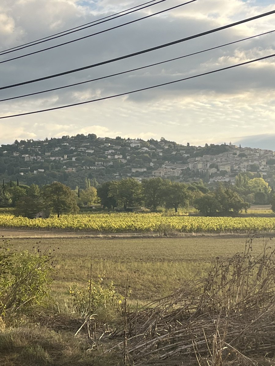 CynthTellsIt's tweet image. With all the current ugliness and misery in this world, it’s important to remember the beauty in too. So this morning I stepped out in my red boots and admired what’s all around me. ❤️