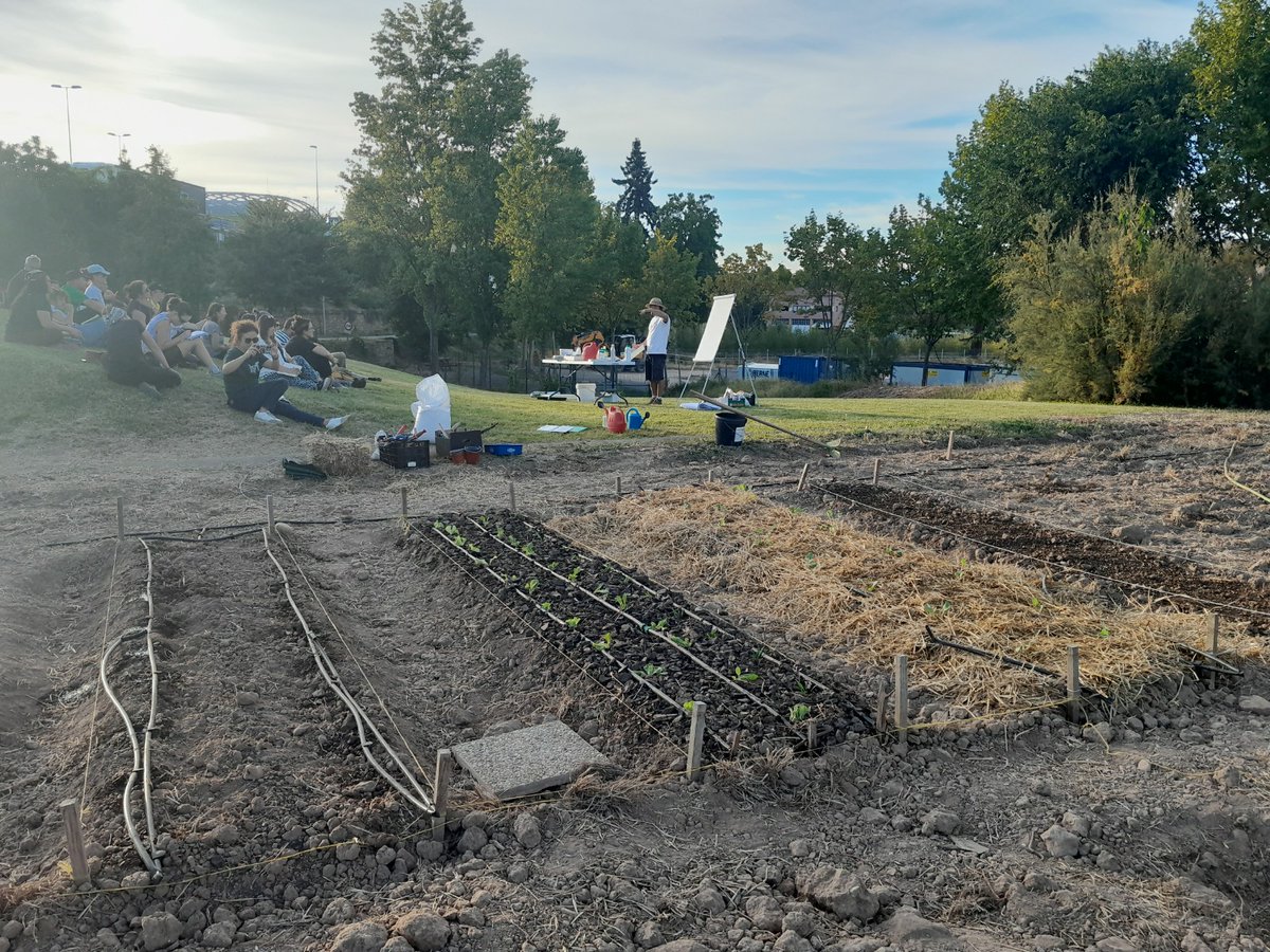 🌱¡Os compartimos un resumen de las cuatro sesiones prácticas del curso para docentes “Huerto escolar participativo ecológico”! 

En estas sesiones, el profesorado ha adquirido herramientas prácticas fundamentales sobre Agroecología en el contexto escolar

👏👏👏👏