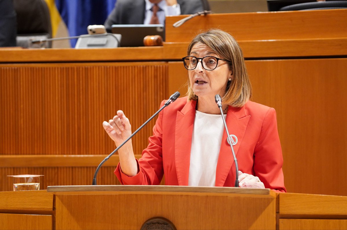 La diputada de <a href="/GPSOEAragon/">PSOE Cortes Aragón</a> <a href="/PilimarZamora/">Pilimar Zamora</a> interpela en #PlenoAragón a la consejera <a href="/cmsusin/">Carmen Susín</a> sobre protección a la infancia y la adolescencia: "Sus declaraciones muestran un sistema desbordado, con una sobreocupación al límite y falta de herramientas para una correcta atención".