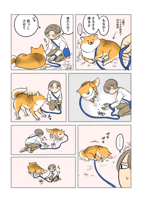 意外と身軽 