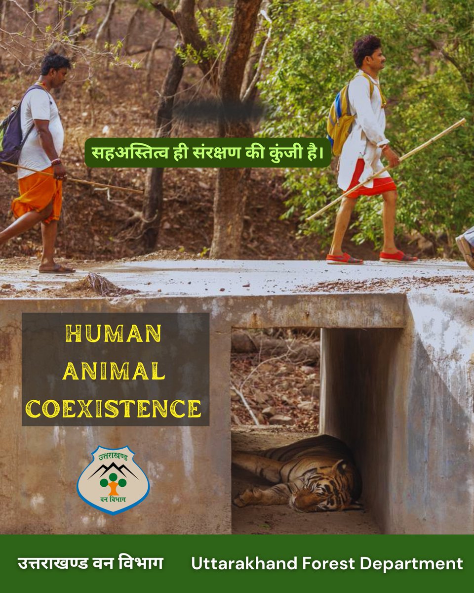 Uttarakhand Forest Department tweet media