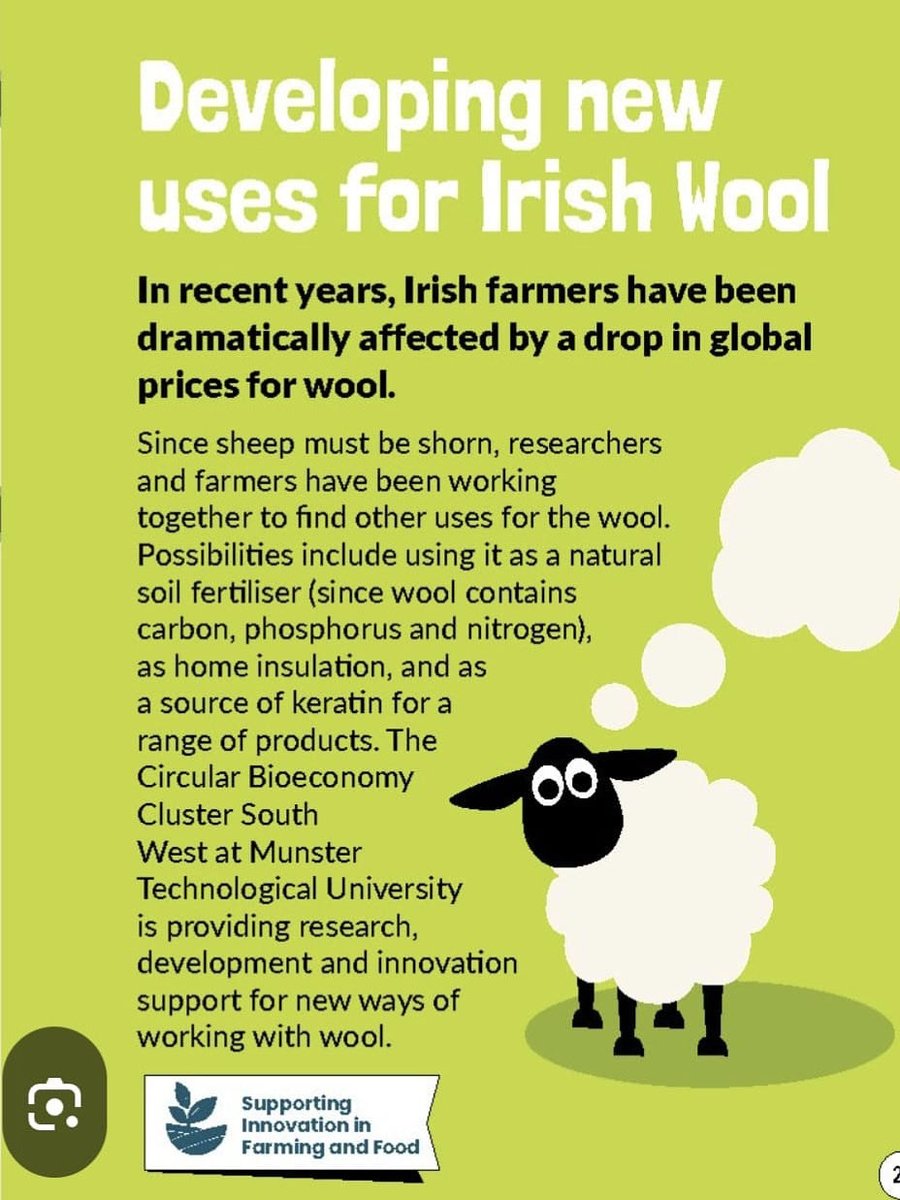 knockbegcollege's tweet image. 🐑 Today’s Did You Know: Irish wool is finding brand new uses! #ScienceWeek