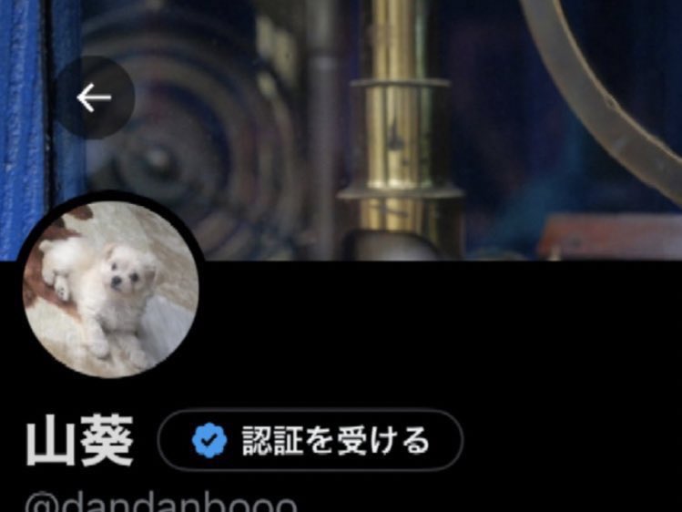 GOMIKIZASH's tweet photo. @rireekeee こんばんは、DMも送付しているのですが反映されていない可能性もありこちらからも失礼いたします。画像先にて相互協力いただいている者です。お手数をおかけいたしますが固定ツイご確認いただけますと幸いです。これにあたりお先にフォローさせていただいております。 https://t.co/qt9AyHVT7f