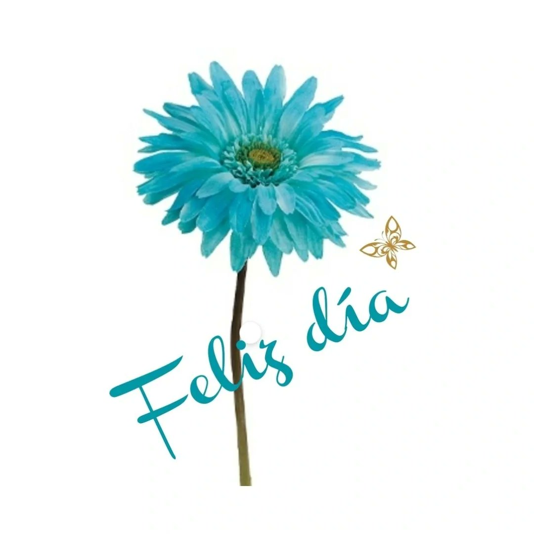 Vilson C Fernandes Goda(VIC) (@vcfgoda) on Twitter photo 