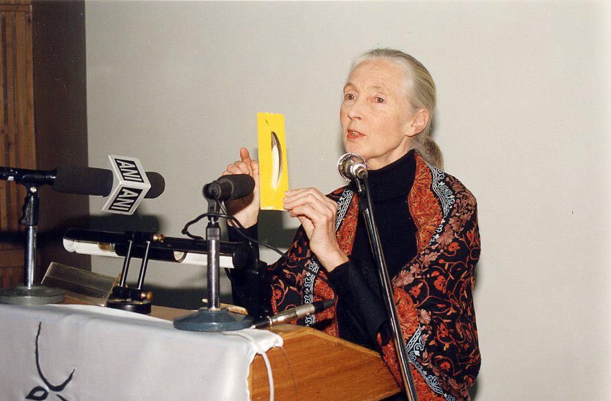 My obituary for this great human being and unparalleled conservation warrior. Rest in peace Jane. wti.org.in/feature/a-sage…