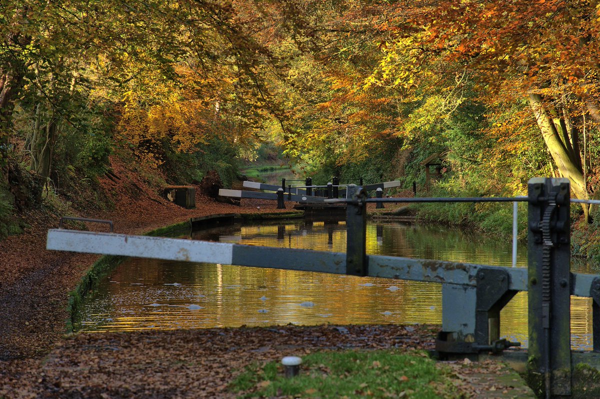 Sunrise walks. Evening birdsong. Boats bobbing gently on the water. 💙

Our canals are made for slowing down. 

How did you spend your time by the water this week?

📸 Sally Shillingford 
📸 Kev Maslin