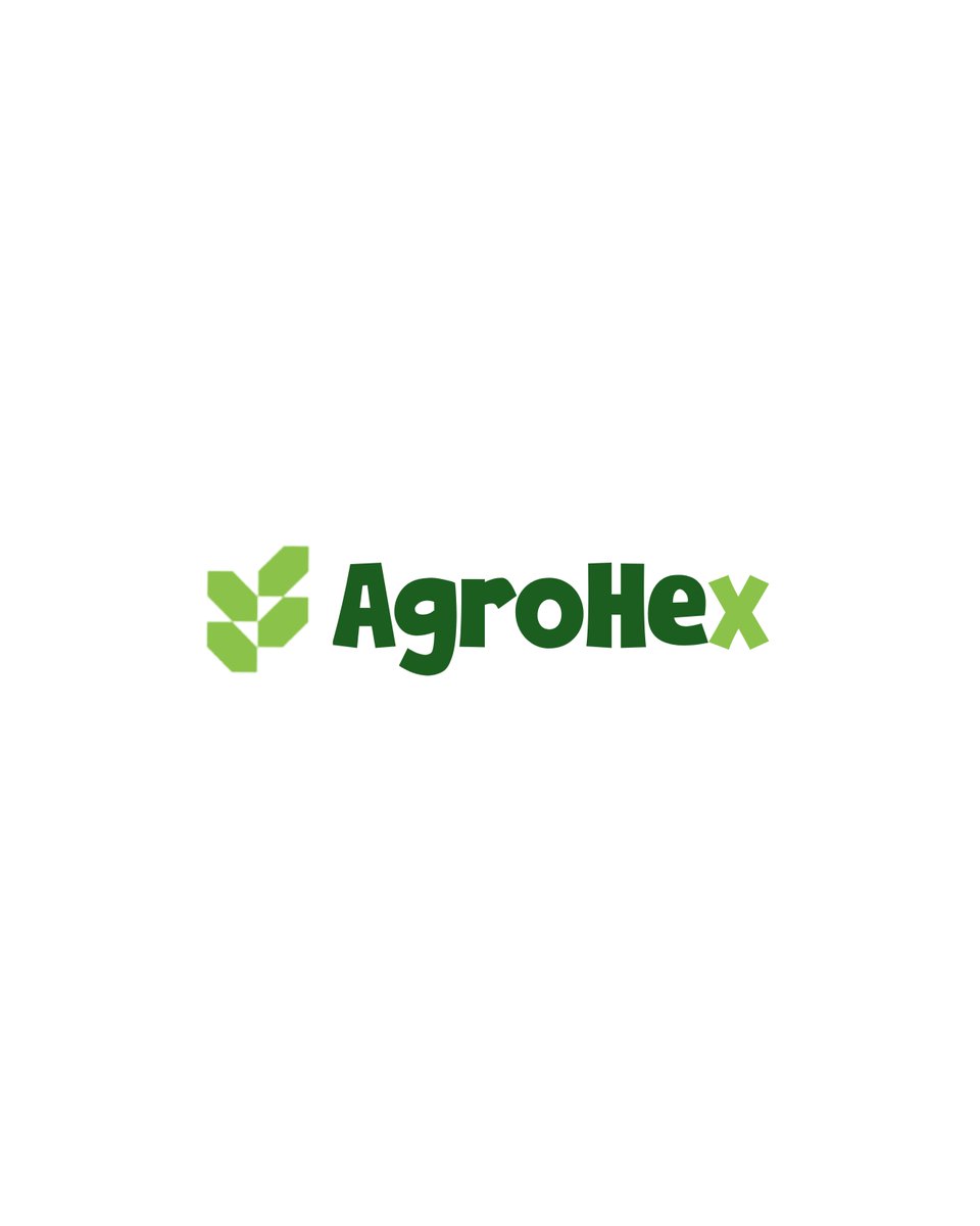 IamsamuelAyo's tweet photo. Designing for growth 🌱
From soil to screen, every pixel tells a story. Proud to shape the visual identity of AgroHex where agriculture meets innovation. 

#BrandDesign #AgTech #MadeBysamel https://t.co/0BiS4oMY5c