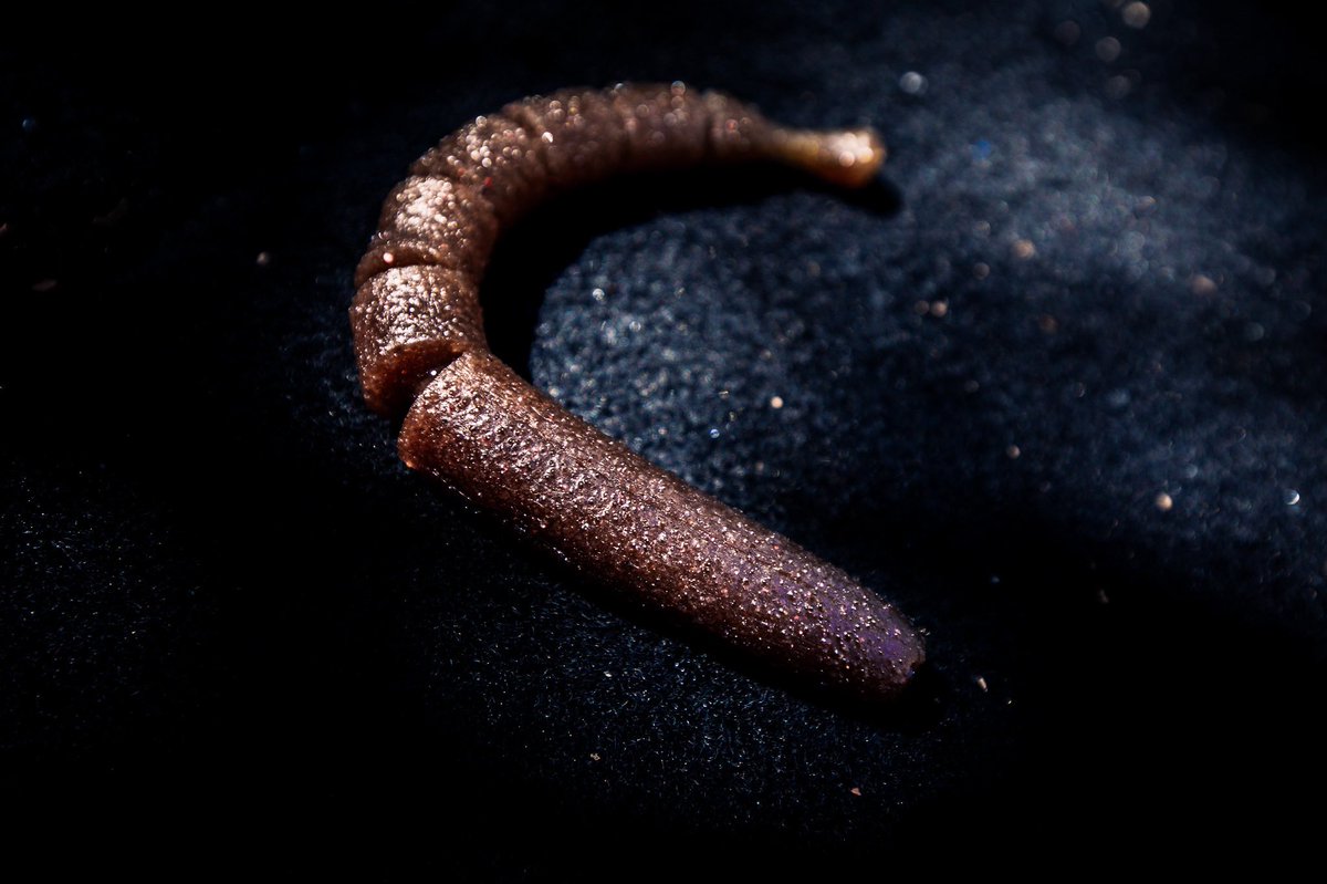 TheThreePct's tweet image. 先日からアクションムービーをアップしているスティックベイト。

撮影した素材を何度も確認し、得られたヒントから更に形状を修正中。

更なる生命感を生むため、ボディバランスとリブ形状と工夫しています。

#3pct 
#ワーム 
#bassfishing 
#池原ダム 
#リザーバー