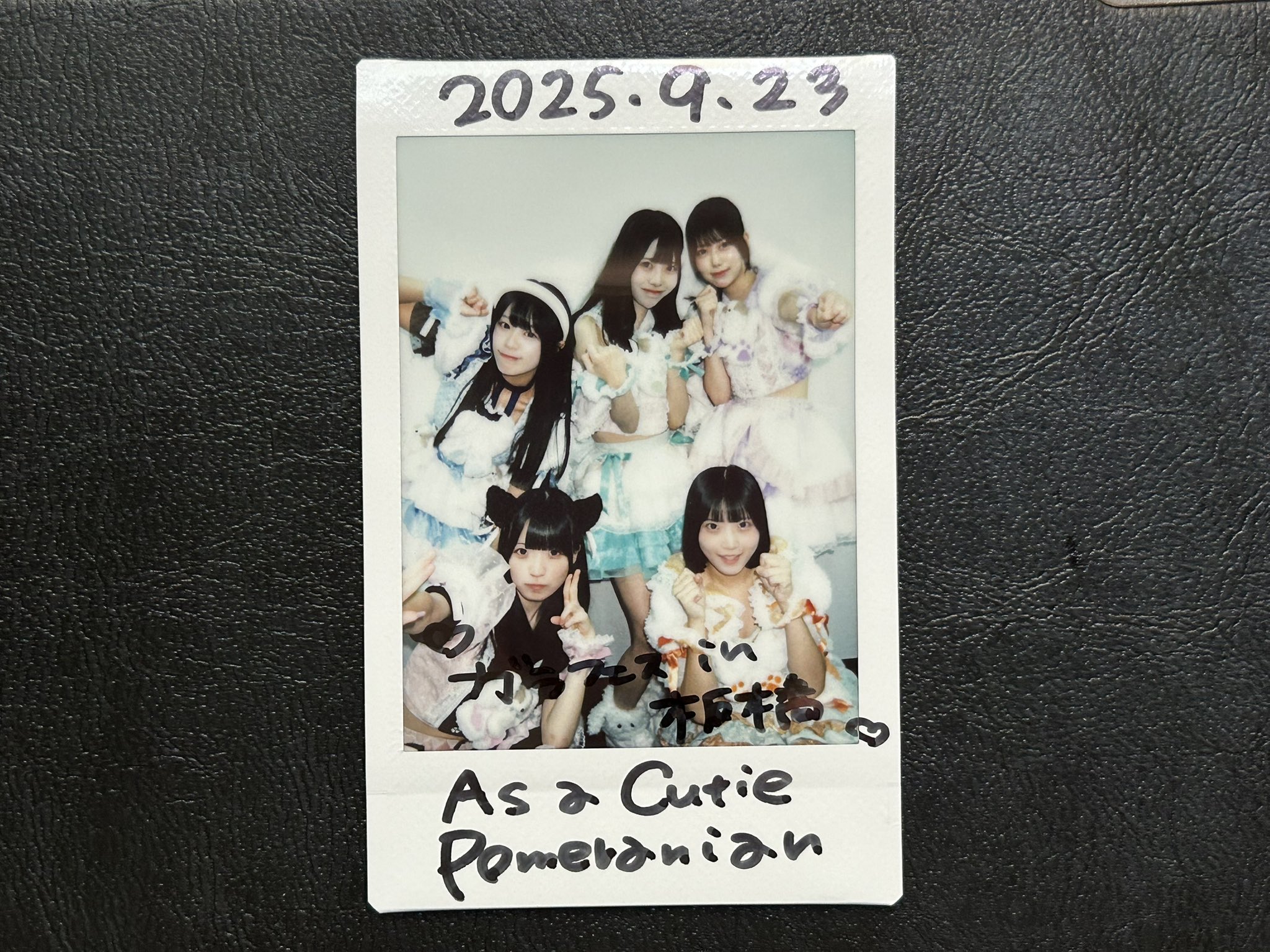 ビバラッシュ(チェキ・カード)バラ売り可 バラ売りOK！カラフルピーチ ウェハカード まとめ売り からぴち