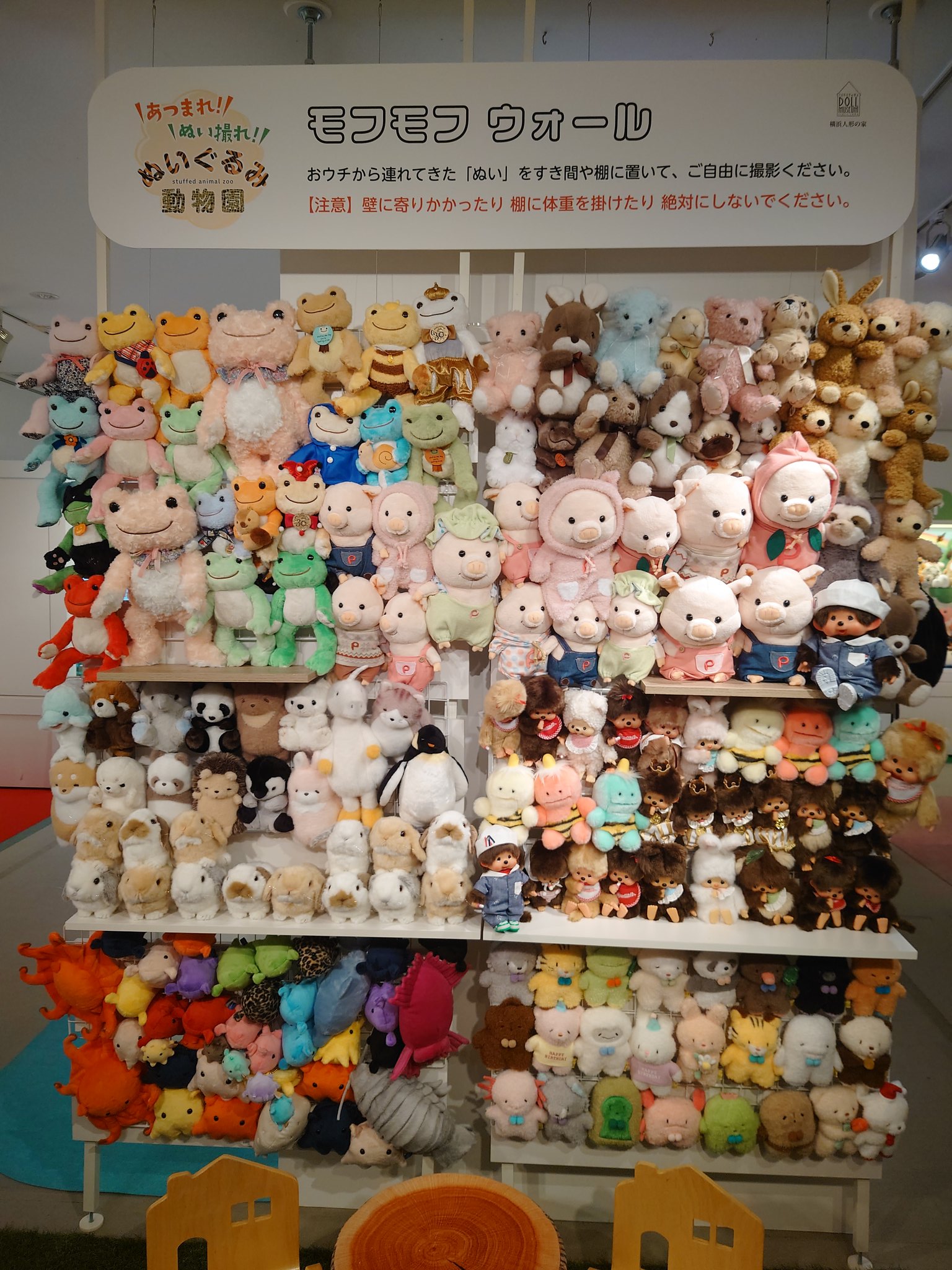 ぬいぐるみ動物園 円山動物園監修 北極熊ぬいぐるみ M | official station