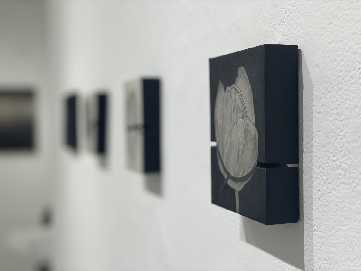 yu_harada_'s tweet photo. 林銘君展「空空」現在開催中

林銘君展「空空」
9/27-10/26
Thur-Sun 13:00-19:00 https://t.co/Xu3G0PYQfl