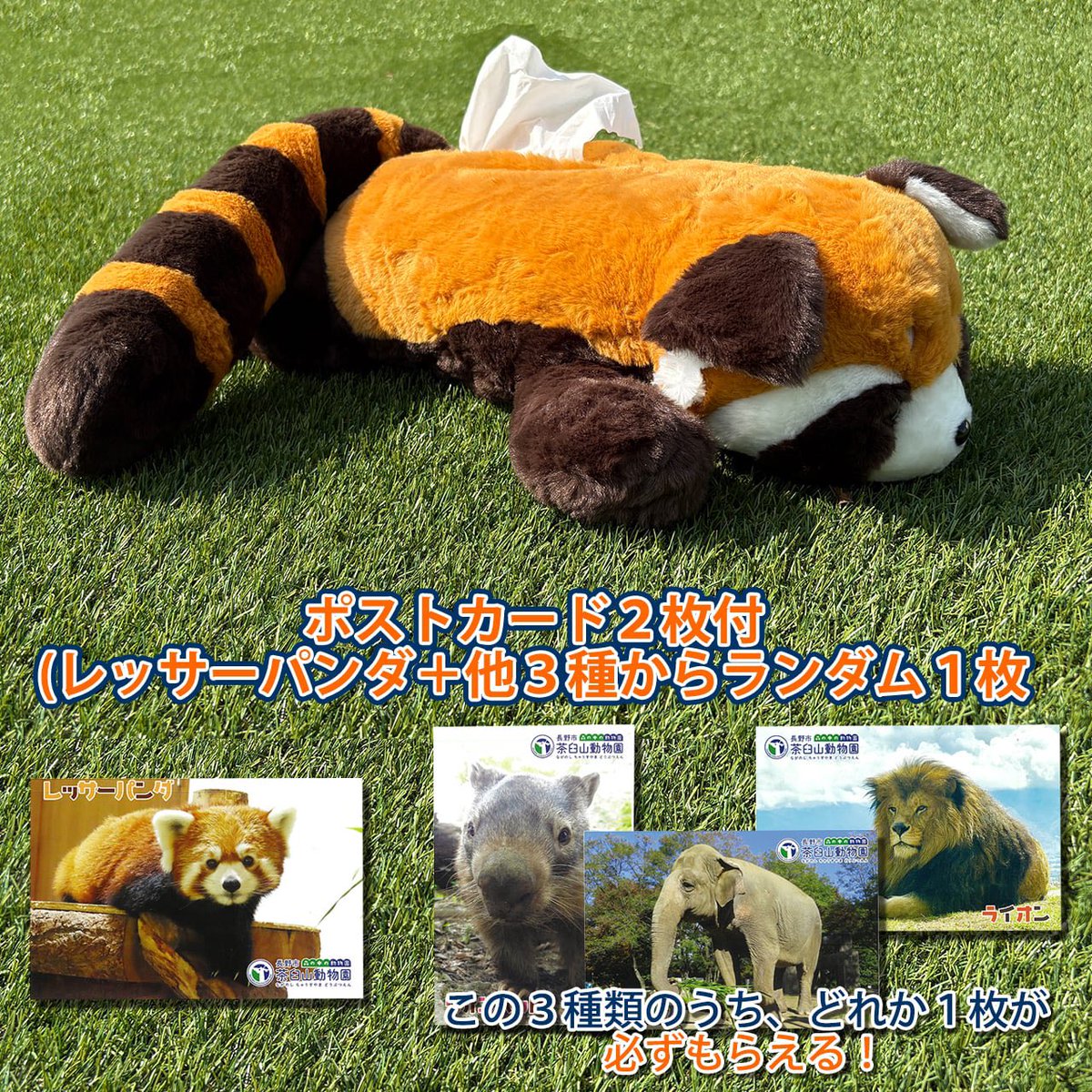 ZOO_nagano0922's tweet image. 好評販売中のレッサーパンダのティッシュケースですが、オープン記念で茶臼山動物園限定の【ポストカード】が2枚付いてきます❗️✨

非売品の激レアカードですので、ぜひフワフワで超絶キュートなティッシュケースとあわせてゲットしてください🙌

#ZOOっとながの
#茶臼山動物園　#城山動物園