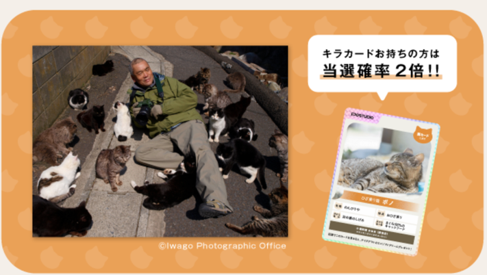 岩合光昭 クジラ 写真パネル シリアルナンバー入り 岩合光昭 クジラ