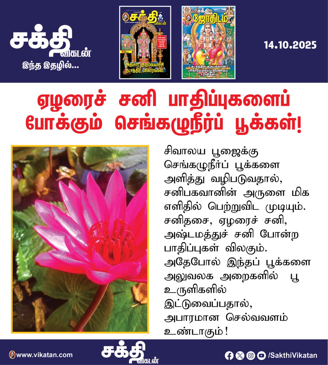 SakthiVikatan's tweet image. Full Article Link - vikatan.com/spiritual/pari…
பரிகார மலர்! ஏழரை சனியின் கஷ்டங்களைப் போக்கும் செங்கழுநீர் மலர்கள்! சிவாலய பூஜைக்கு செங்கழுநீர்ப் பூக்களை அளித்து வழிபடுவதால், சனிபகவானின் அருளை மிக எளிதில் பெற்றுவிட முடியும்.
#SakthiVikatan