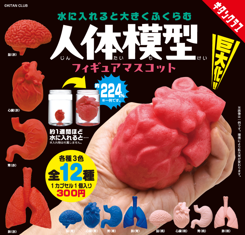 象の置物　♡一万円引きセール中♡ キタンクラブ公式 (@kitan_club) / X