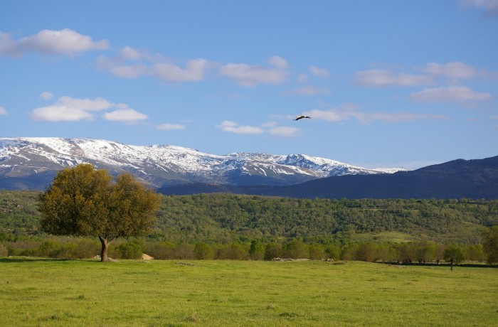 🌄 ¿Sabías que la Sierra de Béjar forma parte de la Red Natura 2000 por su gran valor natural y biodiversidad?.
💚 Un paraíso para senderistas y amantes de la naturaleza.
#SierraDeBéjar #TurismoRural #NaturalezaViva #DescubreBéjar #RedNatura2000 #ViajaPorEspaña
