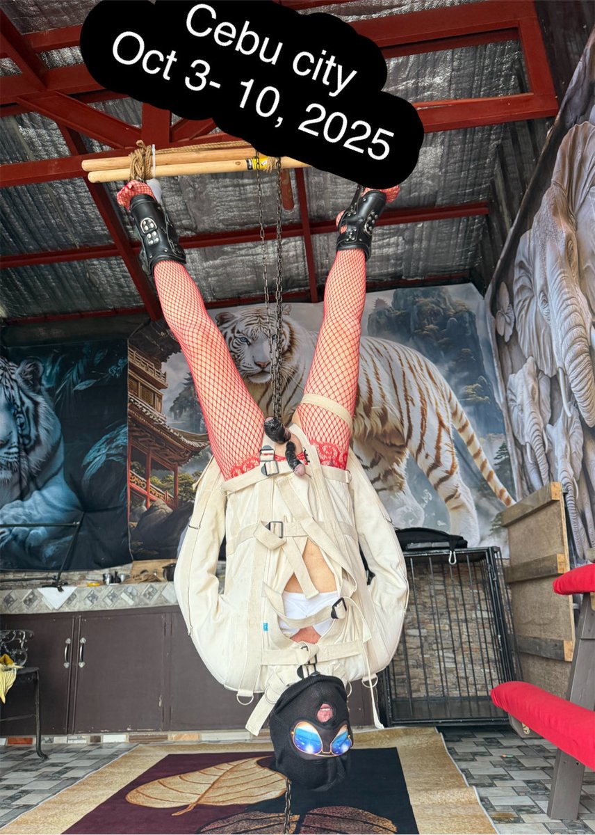 Mistress Ana tweet media