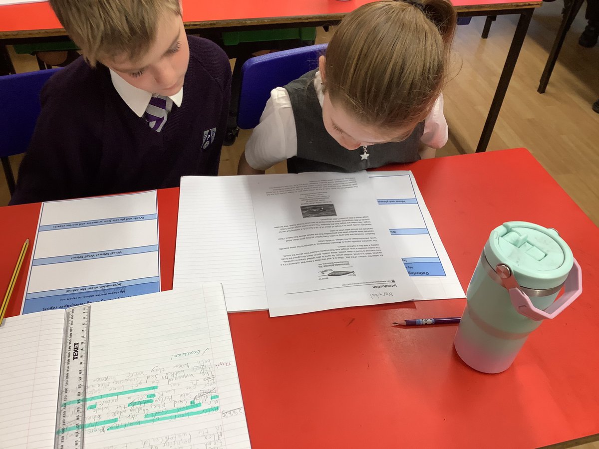 Researching information about marine animals. #StPBWriters