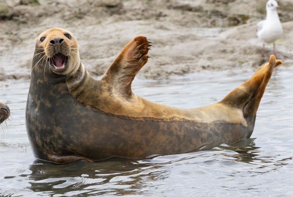 Enjoy 10% off with wild new forest guided tours  when you show your card. From guided walks to expert insights into local wildlife, it’s a brilliant way to discover the landscapes, animals, and hidden stories that make the New Forest so special.