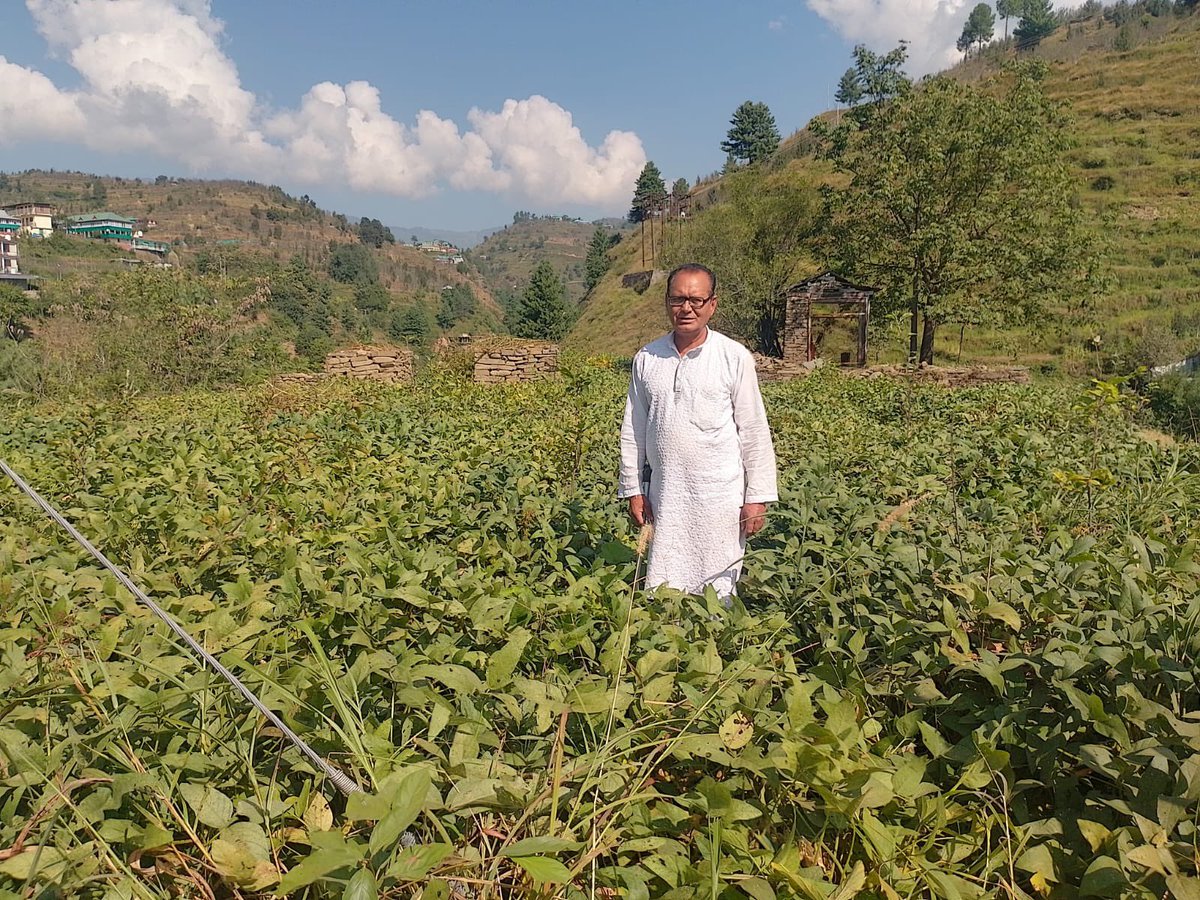yspukvk's tweet photo. 🌱 Scientists of KVK Shimla at Rohru conducted a field visit under CFLD Soybean to assess crop performance and provide technical guidance to farmers. 👩🌾👨🌾
#KVKRohru #CFLD #Soybean #FarmersFirst #OneICAR #ICAR
@atari1icar @AgriGoI @PMOIndia https://t.co/bFK1YyIXlk
