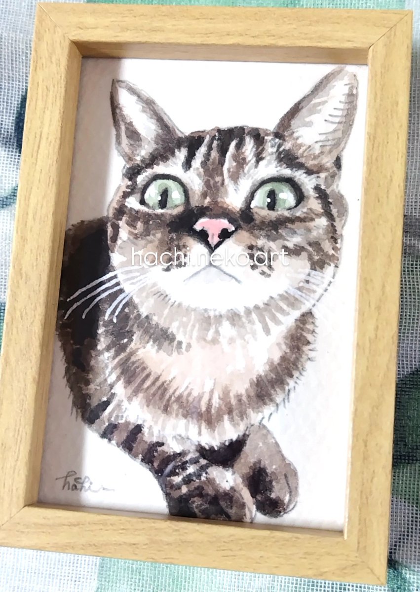 ❤猫好き(❁ᴗ͈ˬᴗ͈)　絵画　270×220 ❤猫好き(❁ᴗ͈ˬᴗ͈) 絵画 270×220 猫の絵 - Cerca / X