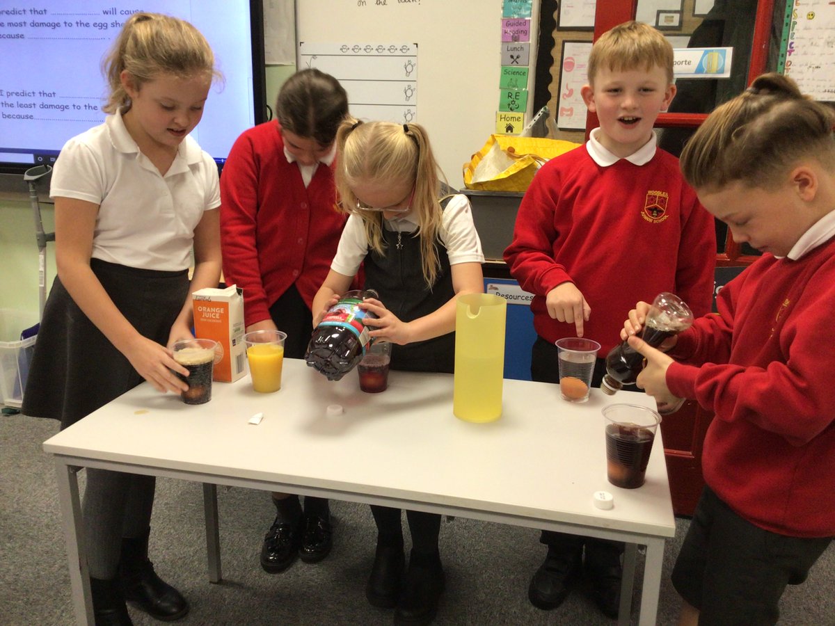 Woodlea Tiger Class tweet media