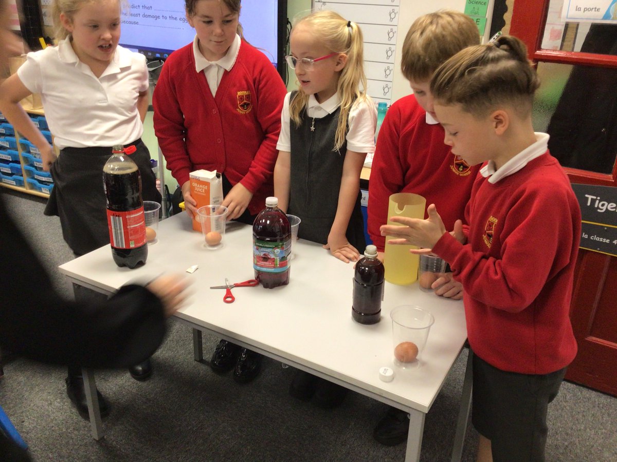 Woodlea Tiger Class tweet media