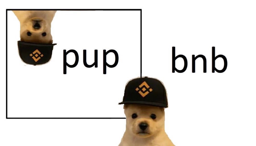 Amebin1680's tweet photo. The true and real PVE on Binance.

Solana = $wif (ATH $4B mc)
Binance = $pup (Current $6m mc)

Billions incoming (high conviction on this meme) Dog of BSC https://t.co/3cqizbdA6U