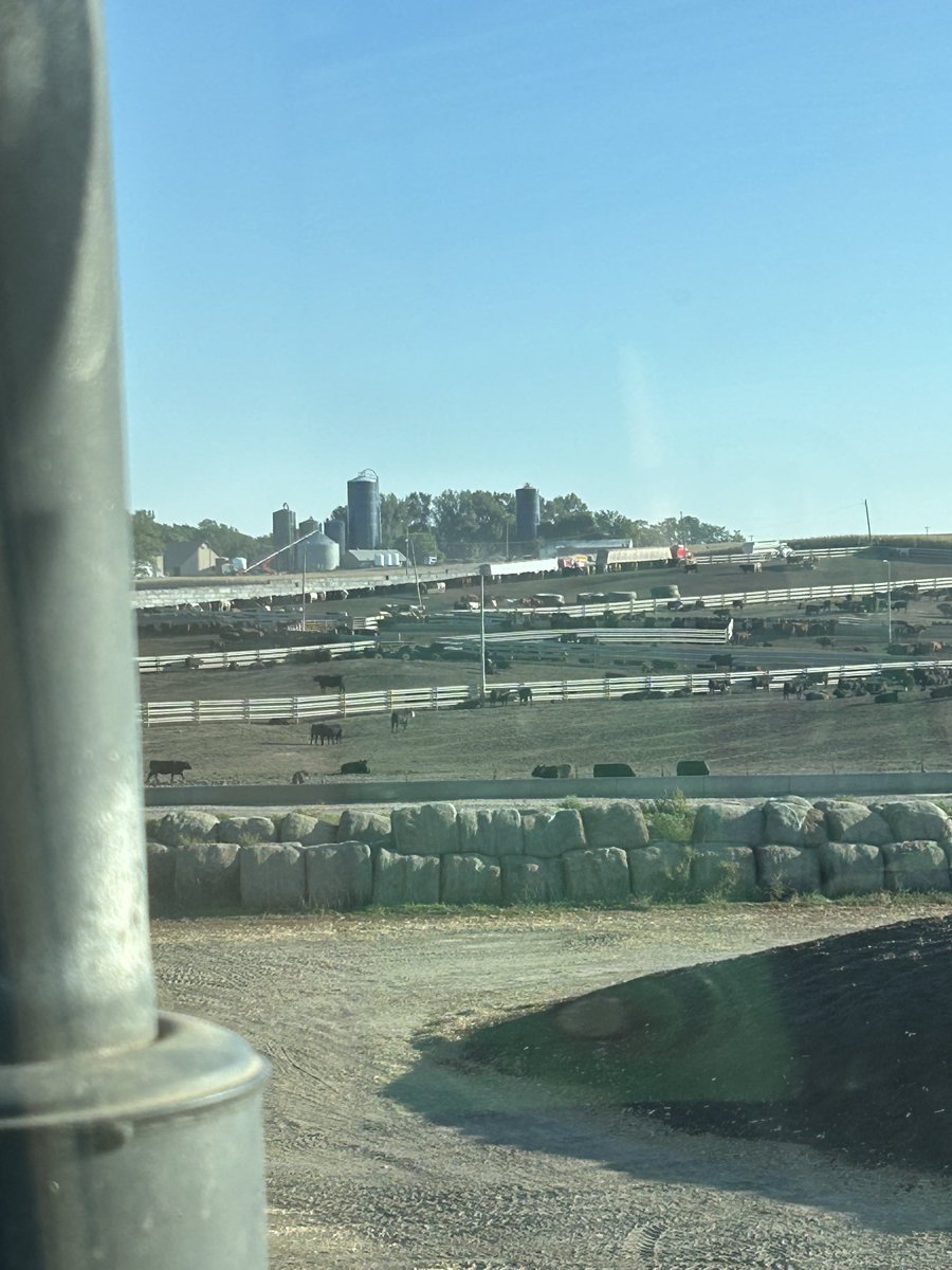 Shippin fats, grinding earcorn, rollin high moisture corn…cold ones will taste amazing this evening 🍻