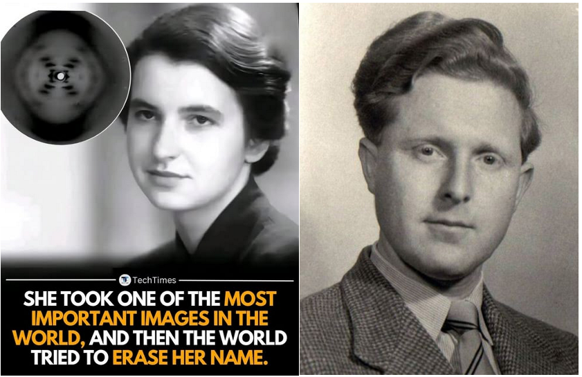 No she didn't, it was Raymond Gosling. She rejected the helical structure of DNA. Wilkins assumed that they would still collaborate on the DNA problem. But she had no interest in that. Franklin was a snob, both socially and intellectually, dismissing Wilkins as “so middle-class"