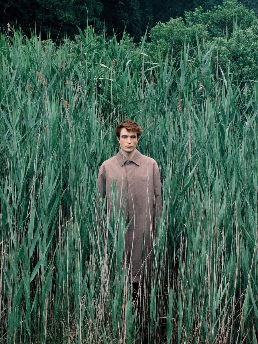 로버트 패틴슨   새화보 쯔쯔가무시 컨셉인건가 뭐지?