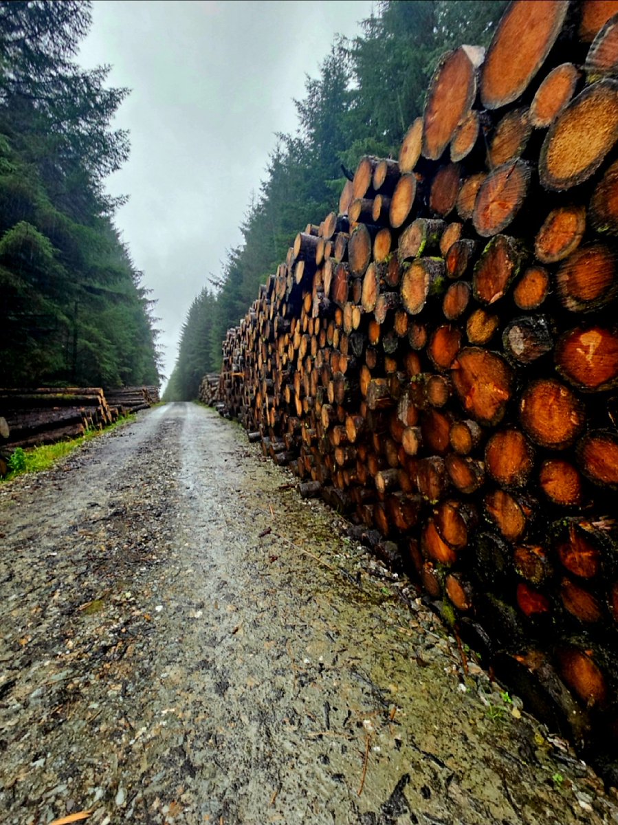 Leesa💫 tweet media