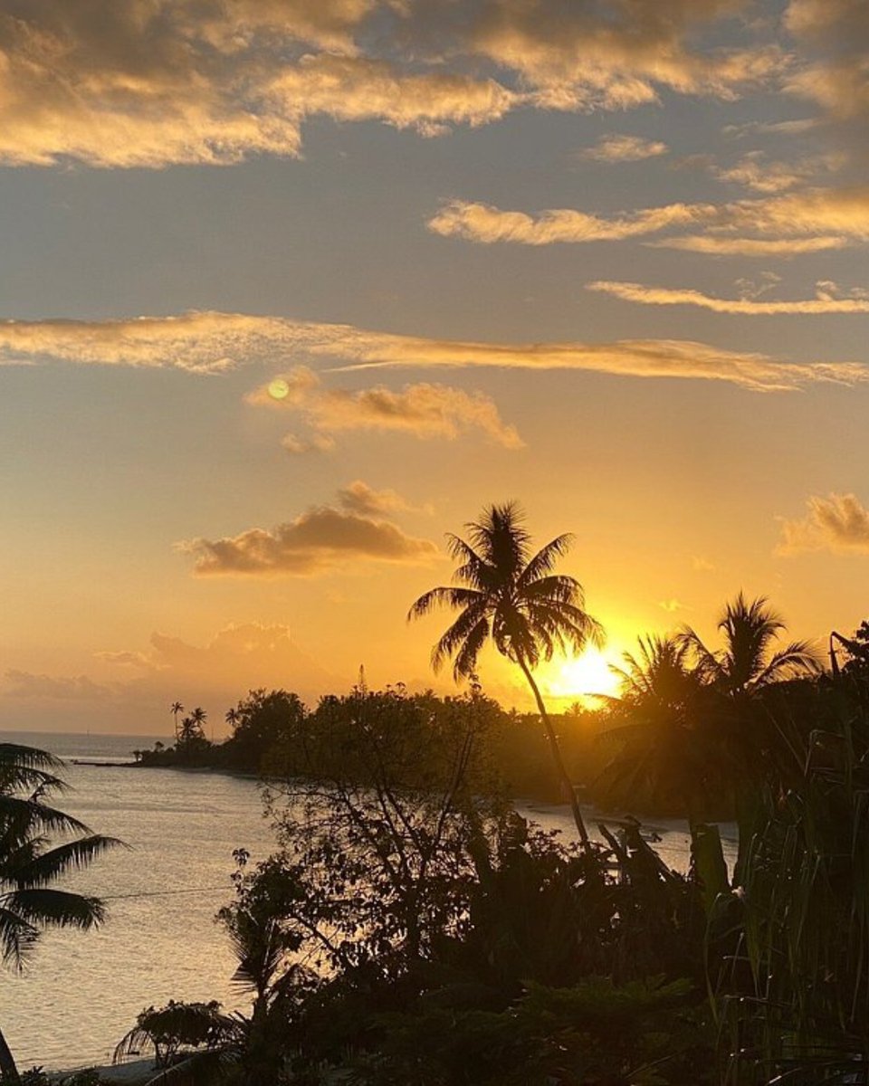 Tripadvisor's tweet image. Touch grass? Nah, I need to touch sand. 📍Plage de Matira, Bora Bora