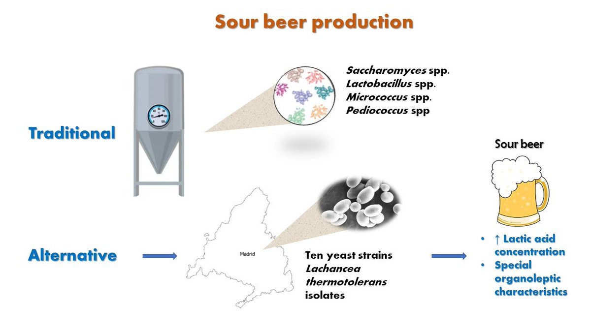 Beverages_MDPI's tweet image. 📢 Editor’s Choice Paper announcement #mdpibeverages 

👉 Lachancea thermotolerans, an Innovative Alternative for Sour Beer Production
📍 brnw.ch/21wWk9c

#MDPI #beverages #drinks #Beer #LachanceaThermotolerans #sour #NonSaccharomyces #VolatileCompounds #LacticAcid