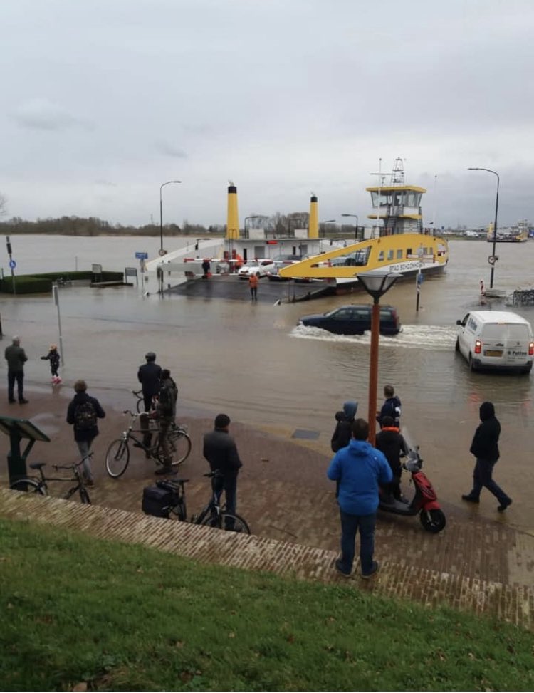 Robert Coomans tweet media