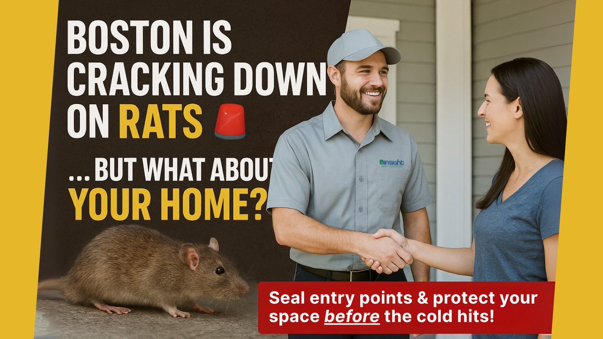 InsightPest's tweet image. 🚨 #Boston is cracking down on RATS… but what about YOUR home? 🐭🏡
Cold weather = prime time for rodents to sneak inside 
✅ Seal entry points
✅ Protect your home
✅ Stay pest-free this winter

👉 Share this with a neighbor who needs the reminder! 🔁
 #RodentControl #PestFree