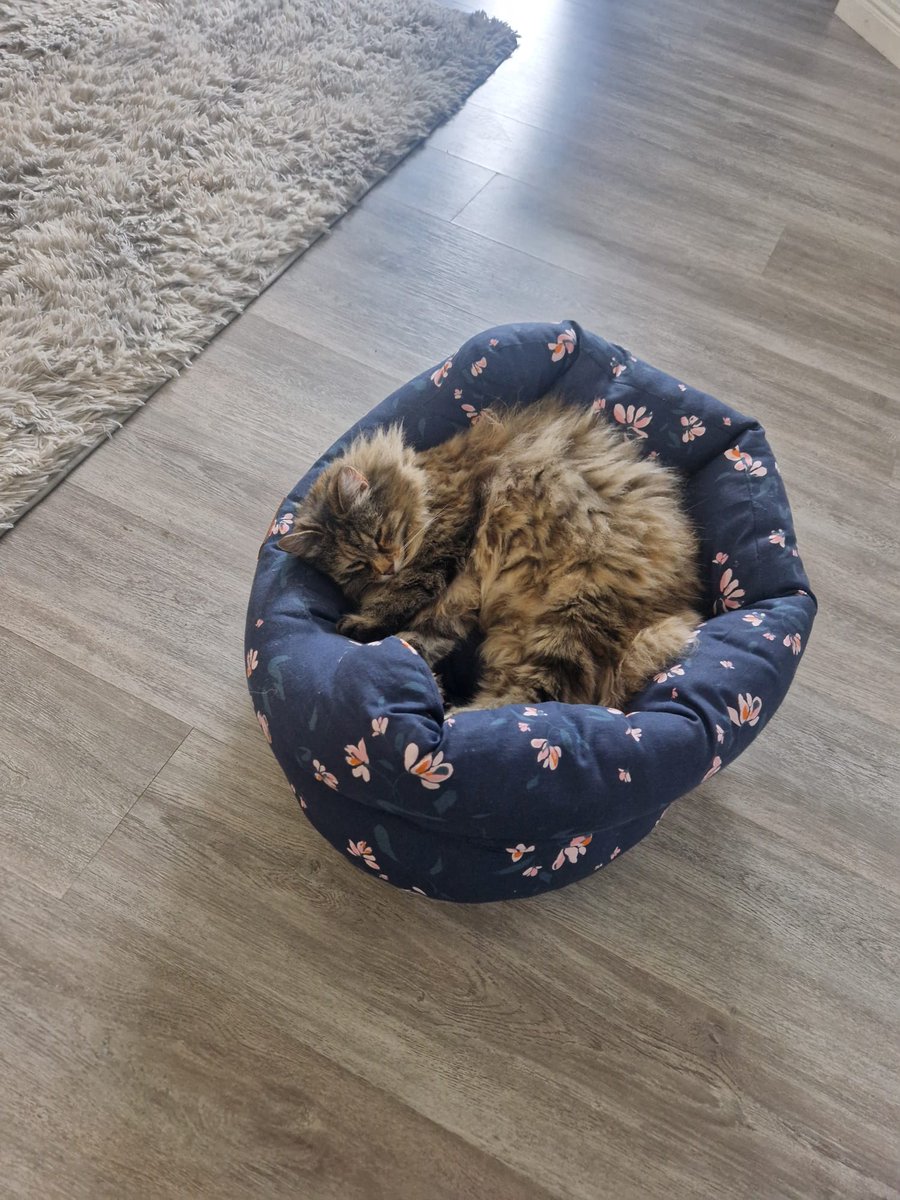 Deirdre Doyle tweet media