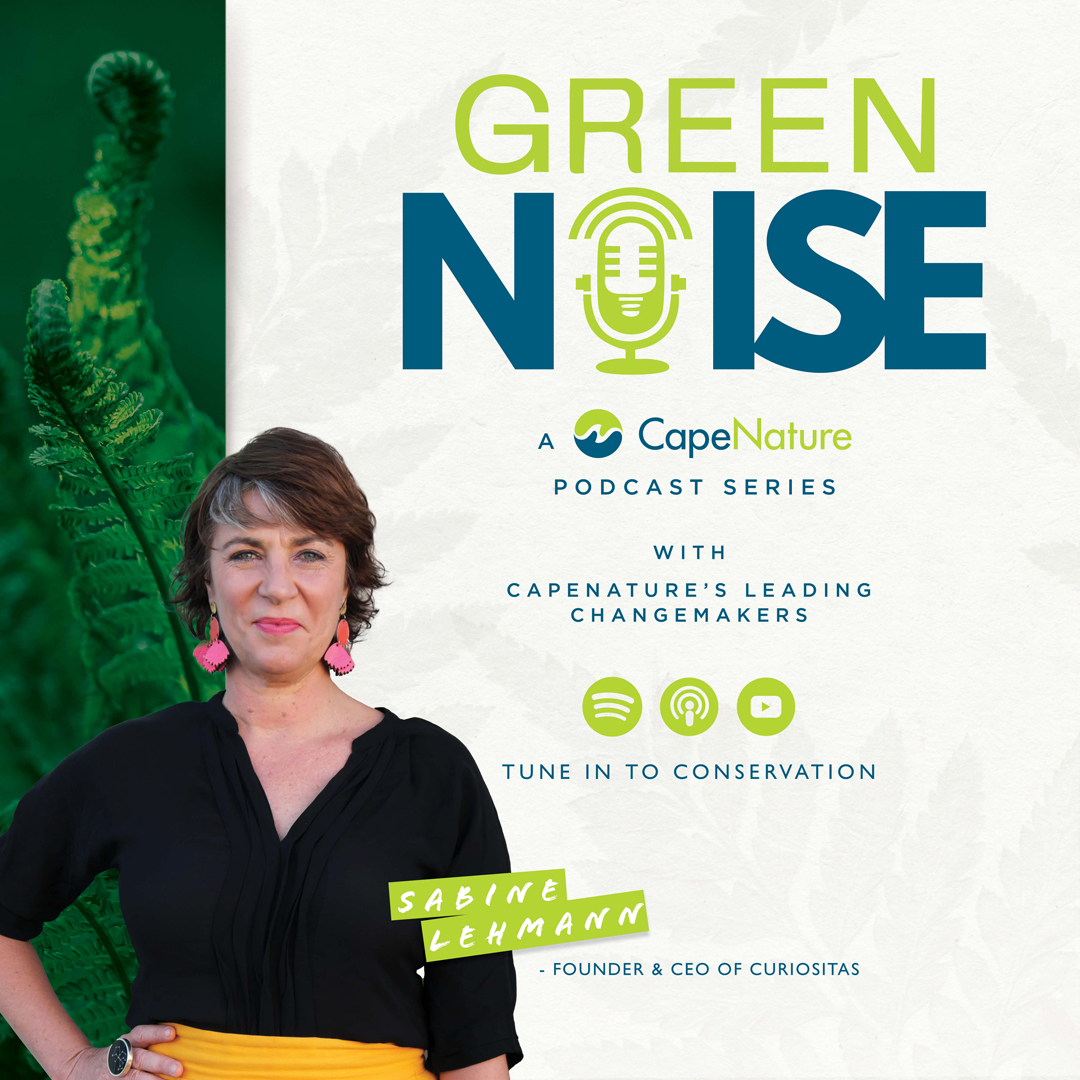 CapeNature1's tweet image. Can tech bring us closer to nature? 🤖🌍

On #GreenNoisePodcast, Sabine Lehmann of CURIOSITAS explores how AI &amp;amp; virtual tourism can spark real emotional connection to nature. 💚

🎧 Listen now: zurl.co/kDkvx

#CapeNature #AIForNature #VirtualTourism #GreenNoisePodcast