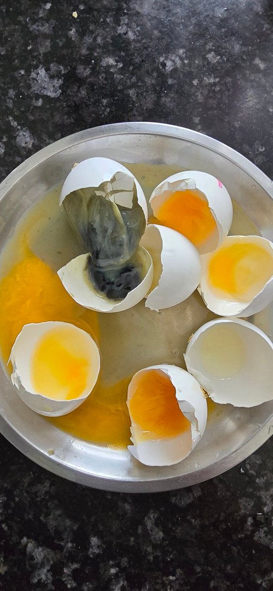 TRomesh's tweet photo. @zeptocares Fresh eggs delivered through Zepto .Stop delivering rotten eggs and playing with health of innocent people .3 Days window closed for Zepto support ,hence had to tweet it...Order ID RGTKPAGAL44775 #kenkowhiteeggs https://t.co/Fuec9ehIp2