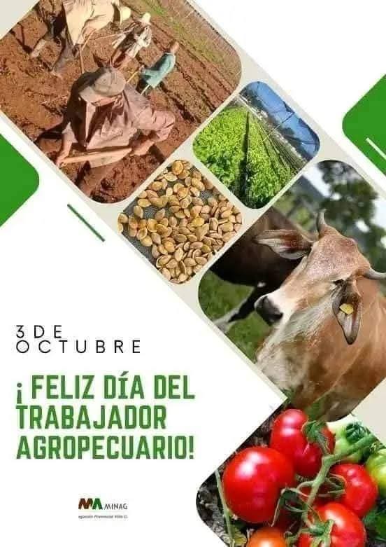 mano_barroso's tweet photo. Muchas felicidades para los trabajadores agropecuarios en su día!
@isla_mjm @UJCdeCuba @ComiteUJCIsla https://t.co/DVlcatJoCe
