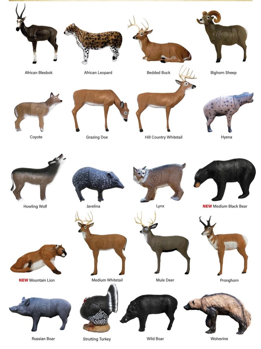 Inside Archery tweet media