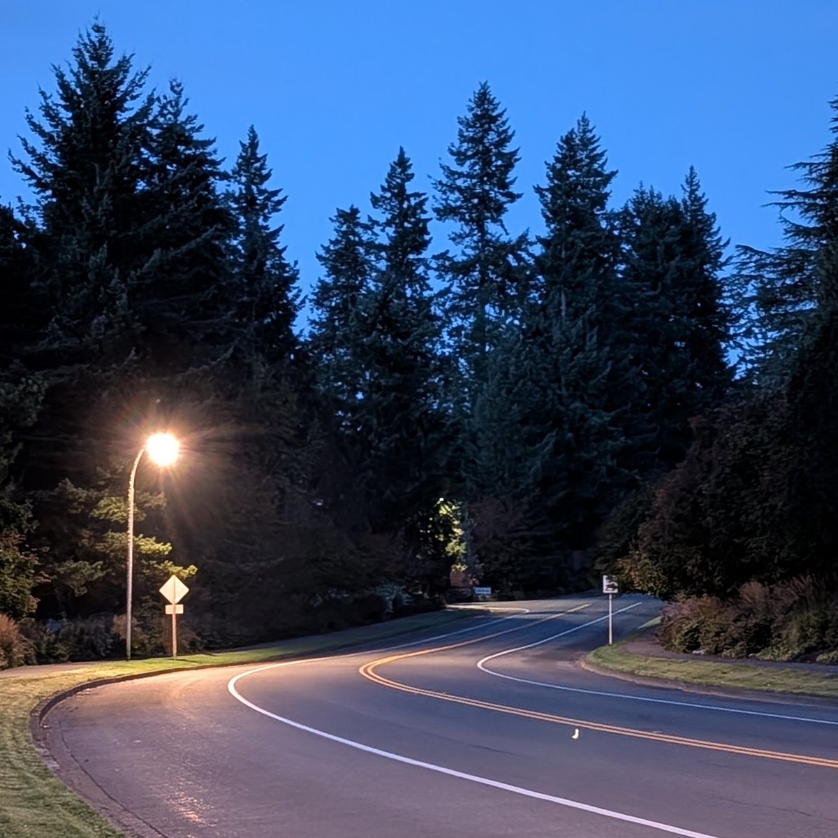 Morning Walk: 3.4 miles (5.3 km) Clear and cool. Saw 2 dogs. Listened to an audiobook on Audible: Fugitive Telemetry (Murderbot #6) by Martha Wells