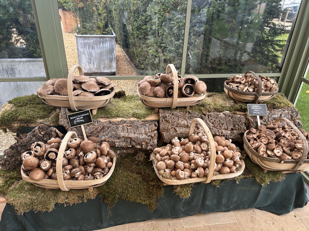 Goldstarjobs's tweet image. What a week! ✅ 

Last-minute roles filled, inspiring chats with new clients, and exciting projects on the horizon. 

Hospitality never stands still - and neither do we! 

#hospitalityrecruitment #busyweek #newopportunities