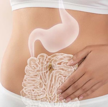 Microbiota intestinale: un alleato contro obesità e malattie metaboliche ... leggi tutto bgsalute.it/86-2025/4617-m…
