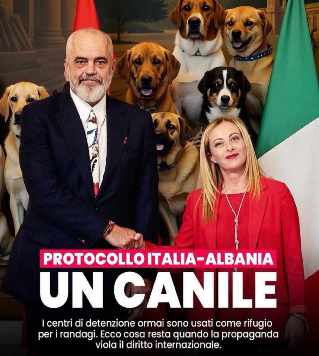 Ma poi del canile in Albania non si sa più niente? 
Dopo aver portato migranti avanti e indietro dall'Albania, per il Canile di Stato, che ci è costato miliardi buttati nel cesso?