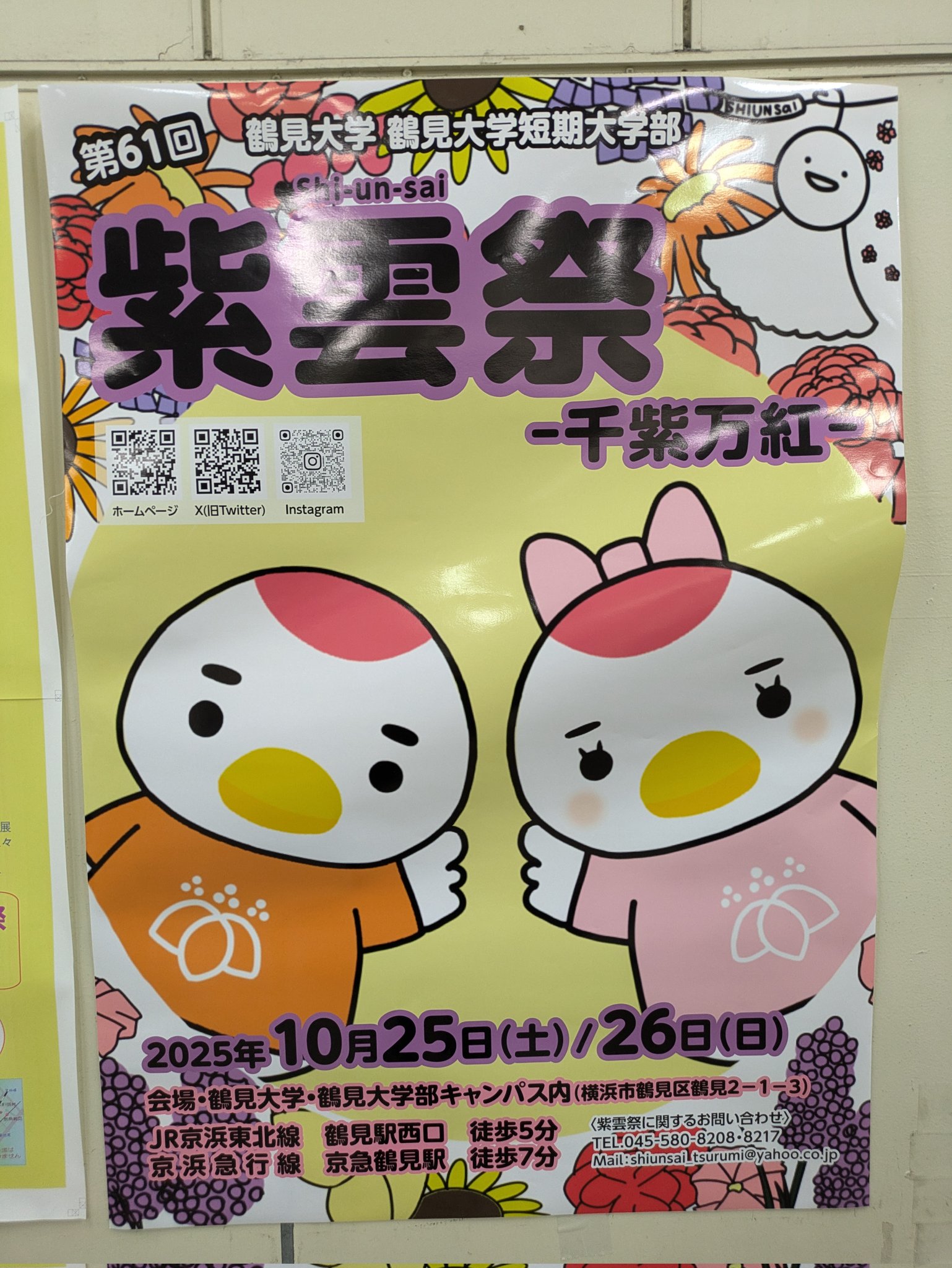 鶴見大学はじめ　歯学部、歯科大向け教科書　留年回避セット限定販売 鶴見大学はじめ 歯学部、歯科大向け教科書 留年回避セット限定