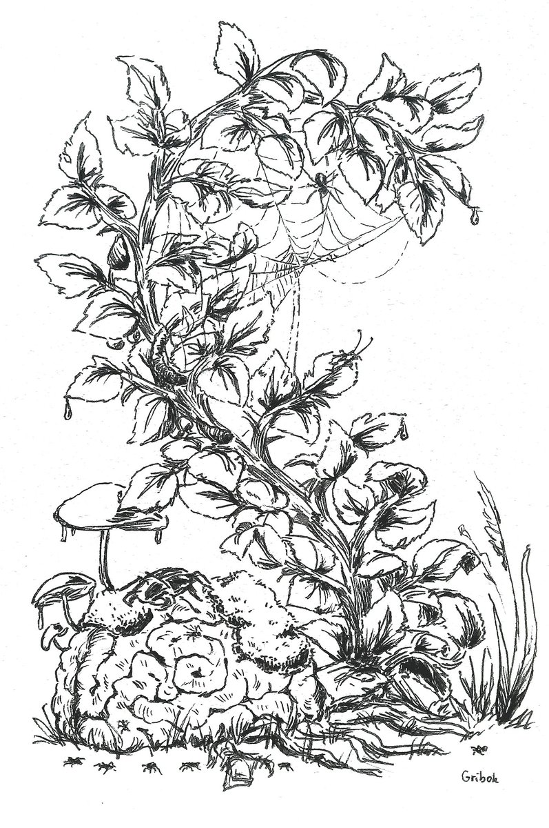 gribok_art's tweet image. [ Original ] - Spinal Cord

#nature #brain #illustration