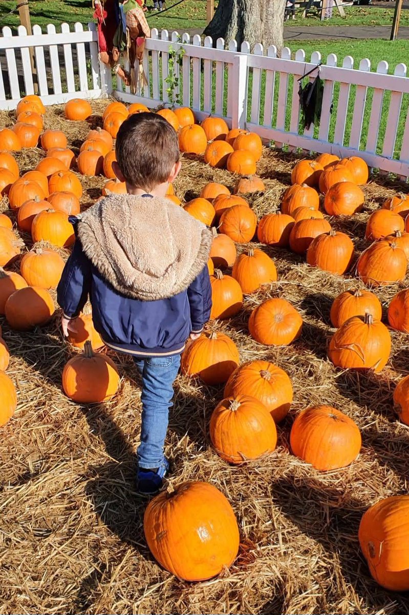 Daily Picture Theme tweet media