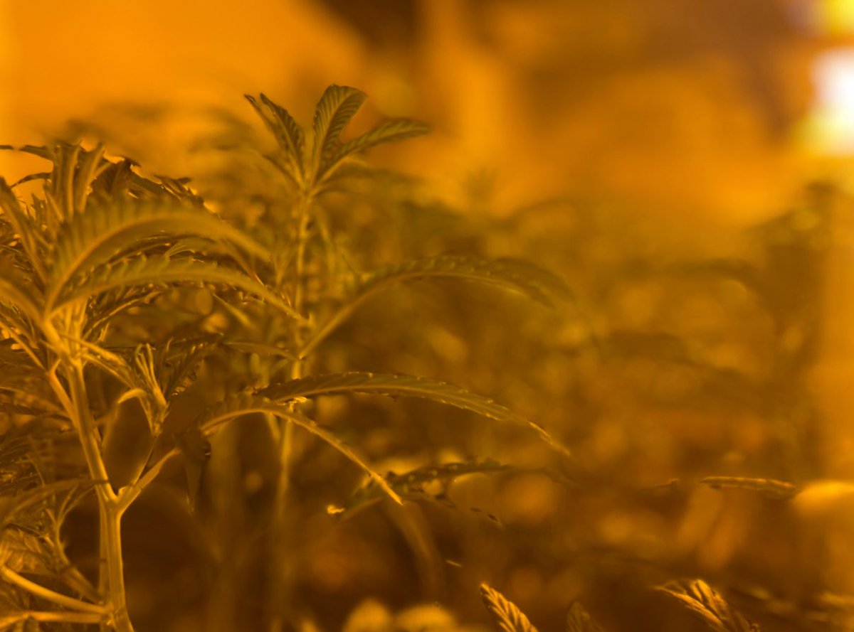 Esta tarde <a href="/PremiadelMal/">Premià del Mal</a>